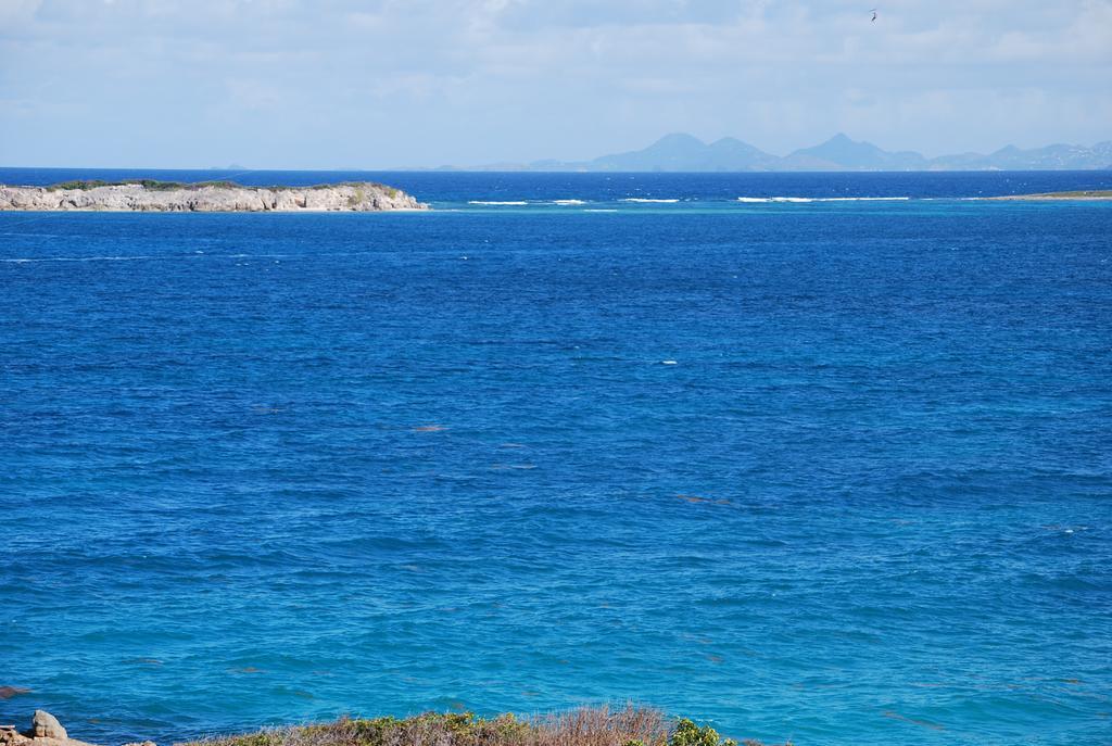 Studio Orient Bay Rum bild