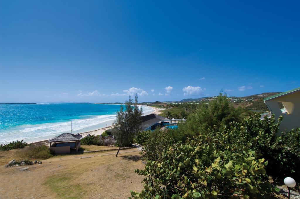 Studio Orient Bay Rum bild